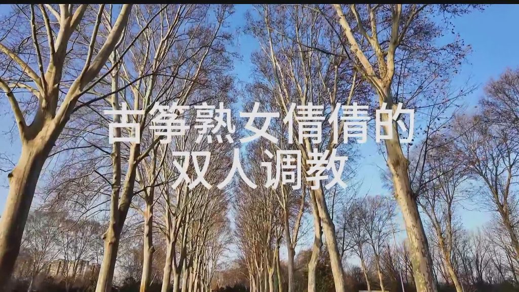 XFpicture00097