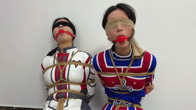 【金宝定制】奥特敬备队 女队员被抓住了，谁来拯救地球呢-逍遥自在