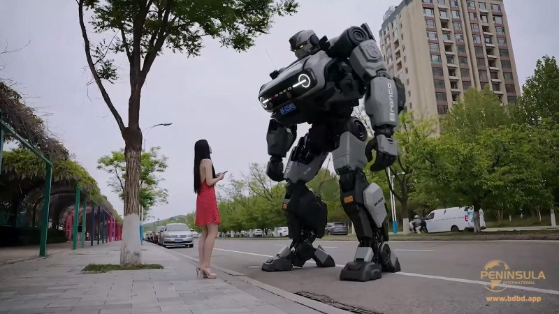 【半岛束艺台】【佟司】YT3176 愤怒的汽车-逍遥自在