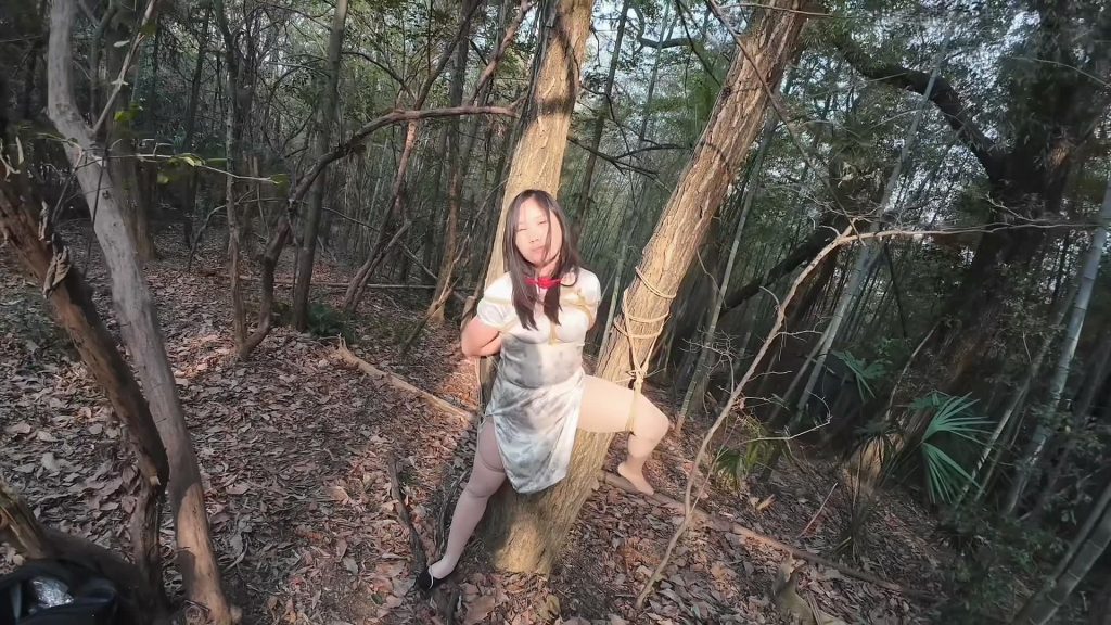 忧郁的笨鸟 小朵的户外小树林 下部-逍遥自在