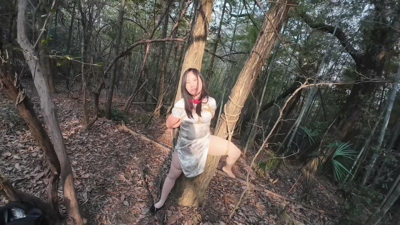 忧郁的笨鸟 小朵的户外小树林 下部-逍遥自在