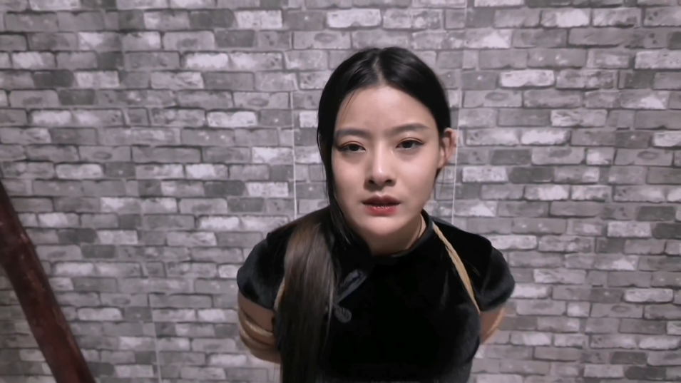【HD飞天】双面女间谍-逍遥自在