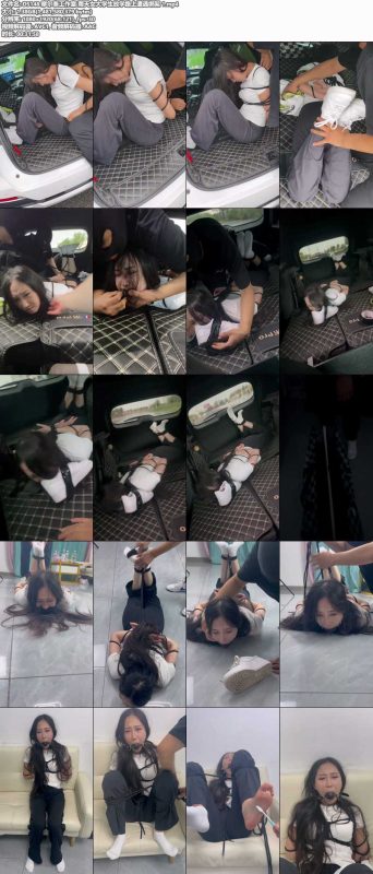 摩尔泰工作室 雨天女大学生放学路上遭遇绑架 1-逍遥自在