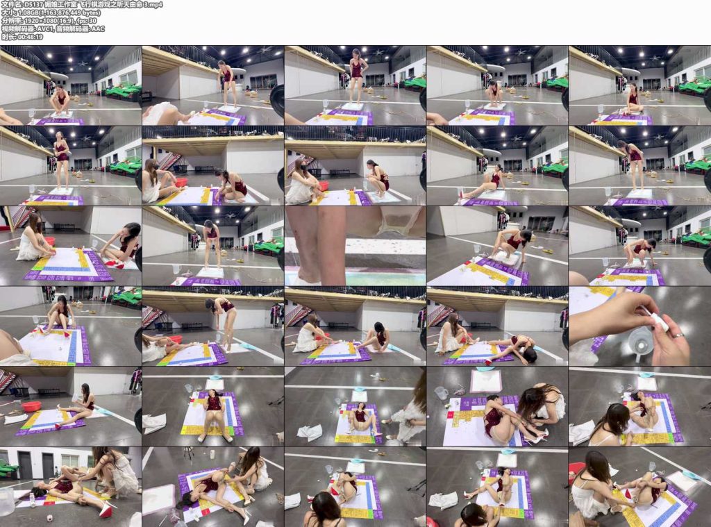 媚娘工作室 飞行棋游戏之听天由命 3-逍遥自在