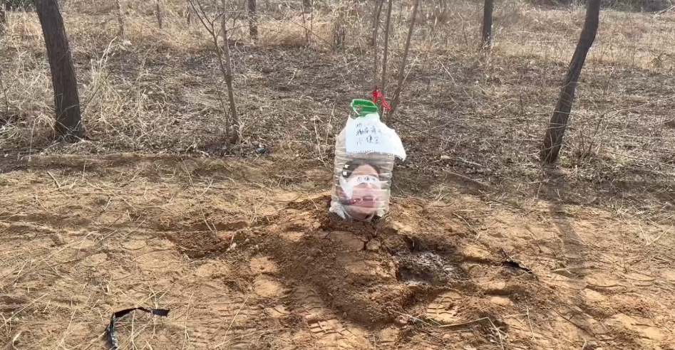 20260716203804213-9