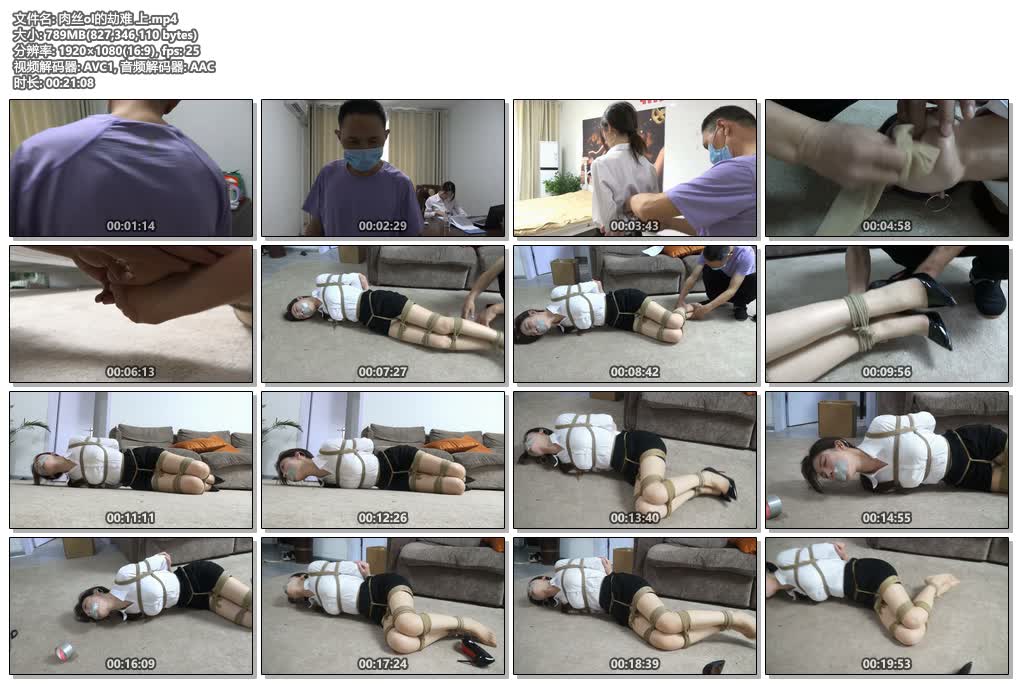 【逍遥定制】肉丝ol的劫难（上中下）《柳洋主演》-逍遥自在