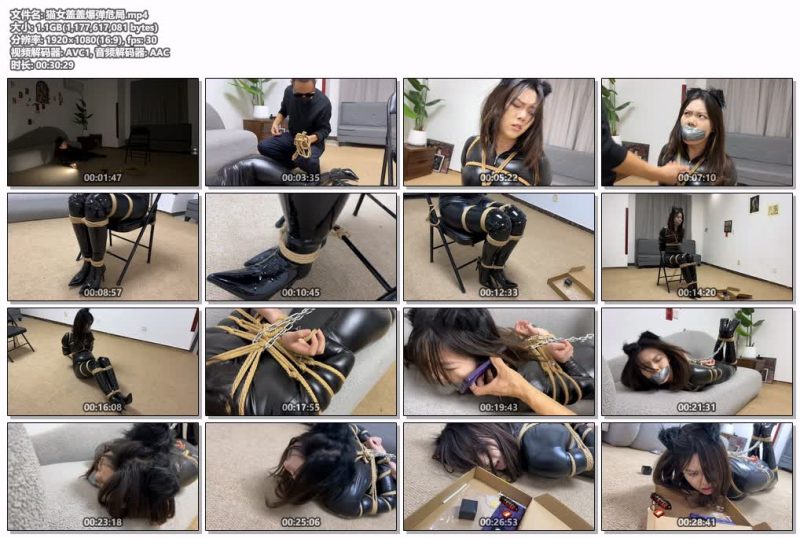 【金宝工作室】猫女盖盖爆弹危局-逍遥自在