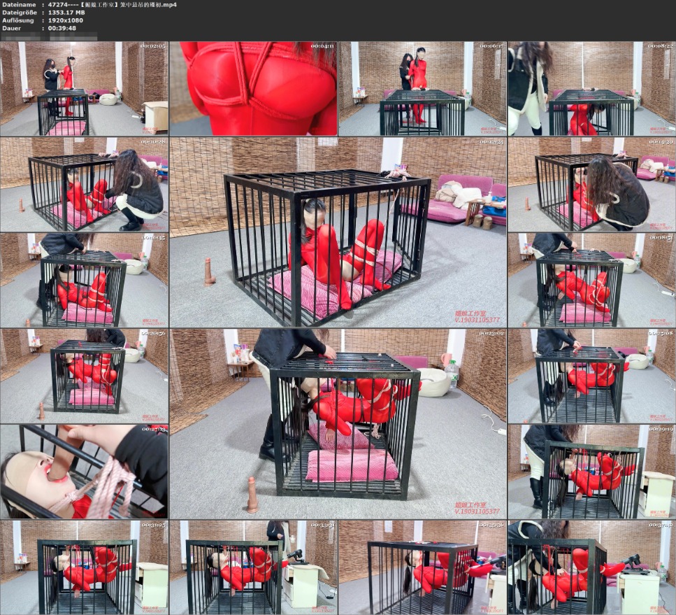 【媚娘工作室】笼中悬吊的瑾初-逍遥自在