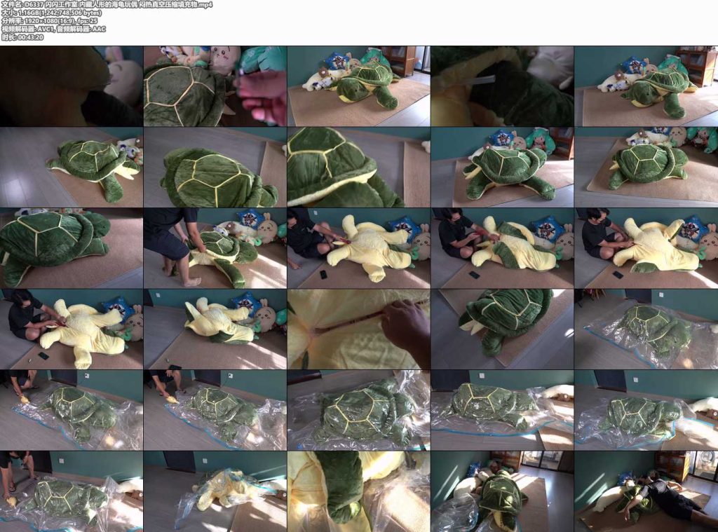 闪闪工作室 内藏人形的海龟玩偶 闷热真空压缩填充物-逍遥自在