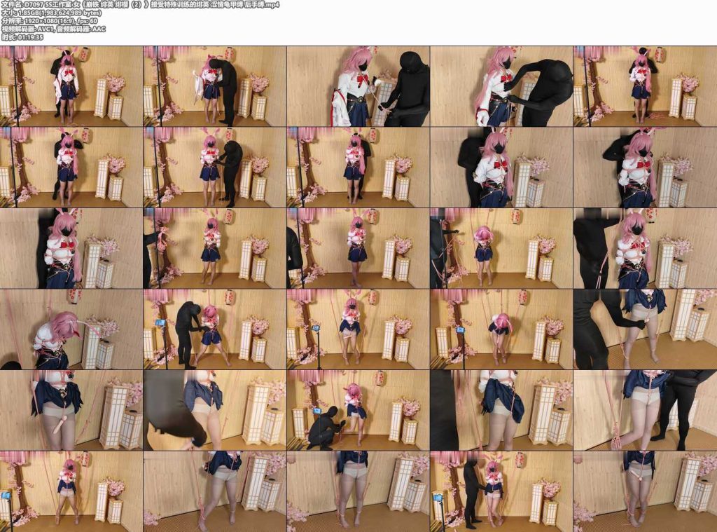 SS工作室 女《崩铁 绯英 绯樱（2）》接受特殊训练的绯英-逍遥自在