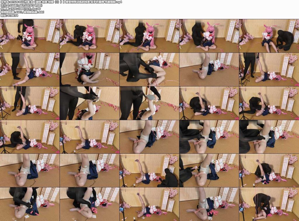 SS工作室 女《崩铁 绯英 绯樱（3）》】接受特殊训练的绯英-逍遥自在