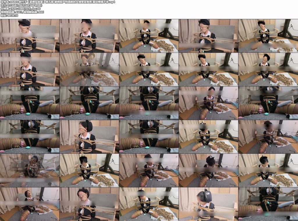 胖竹子【紧缚实验室】第五期 被绑架严刑调教的女搜查官雅熙-逍遥自在