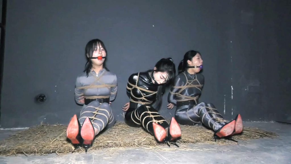 胜景影视 女特工历险记 下集-逍遥自在