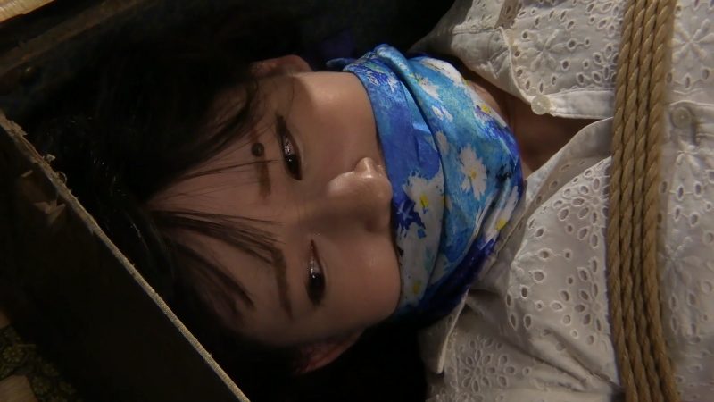 ACZD-250美女紧缚-逍遥自在