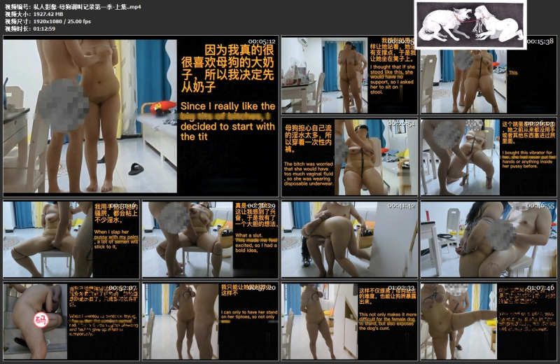 私人影像母狗调教记录4部合集-逍遥自在