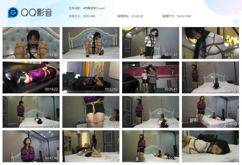 胜景影视 A市搜查官3-逍遥自在