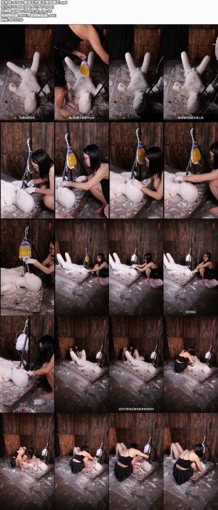 惠宝工作室 石膏束缚下-逍遥自在