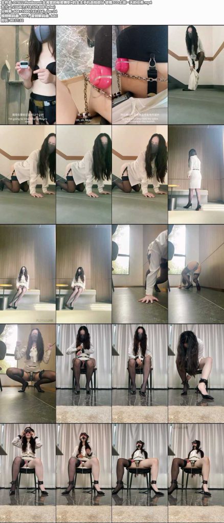PlotBound 女高管的秘密兼职4的女主手机自拍部分-逍遥自在