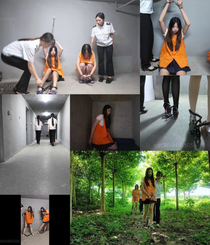【忘忧社工作室】美丽毒兰花（下集） 上集拍摄到J方得知境外F毒头目张丽丽（外号老…-逍遥自在