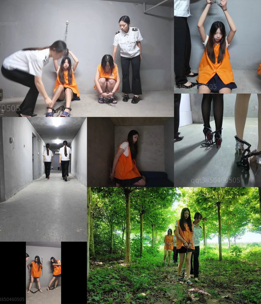 Collage_20261003_130331298